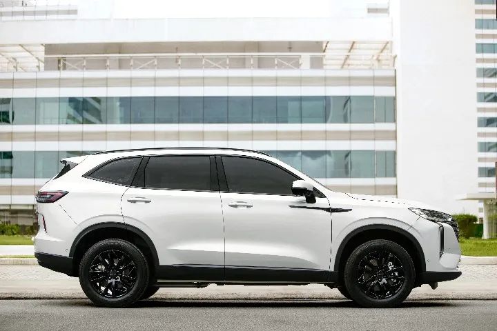 GWM Haval H6 HEV2 (híbrido) 2027 - Foto 5