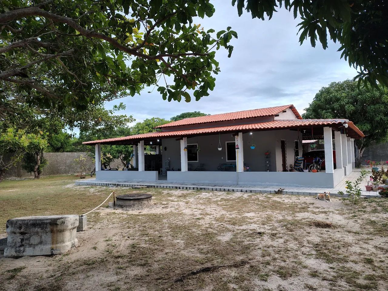 Vendo lindo sítio  - Foto 4