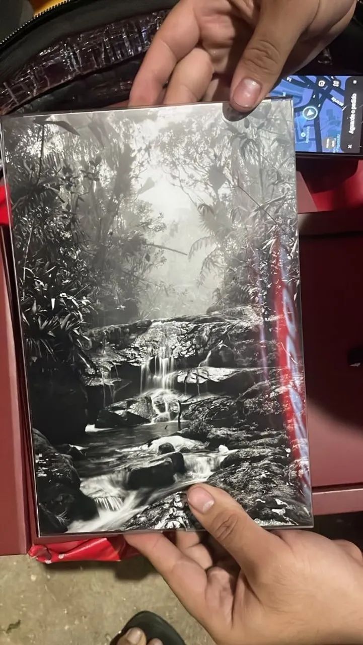Fotografia Sebastião salgado Floresta de atitude - Foto 3