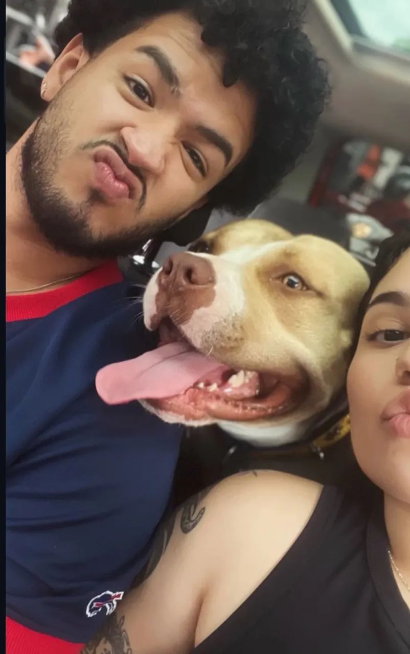 Procura-se Namoradinha - Foto 4