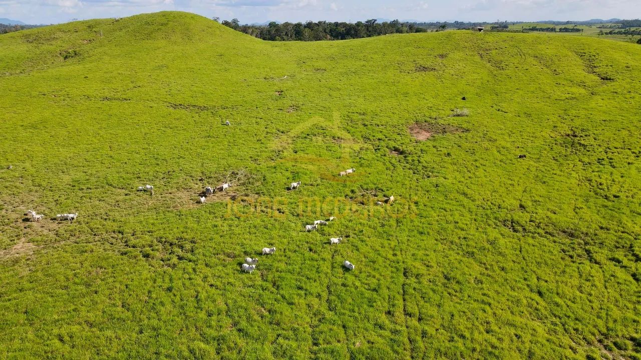 VENDE LINDA FAZENDA ESTRUTURADA EM RORAIMA  - Foto 2