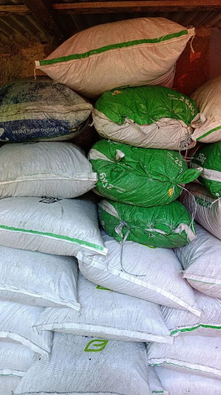 Esterco de gado - Foto 5