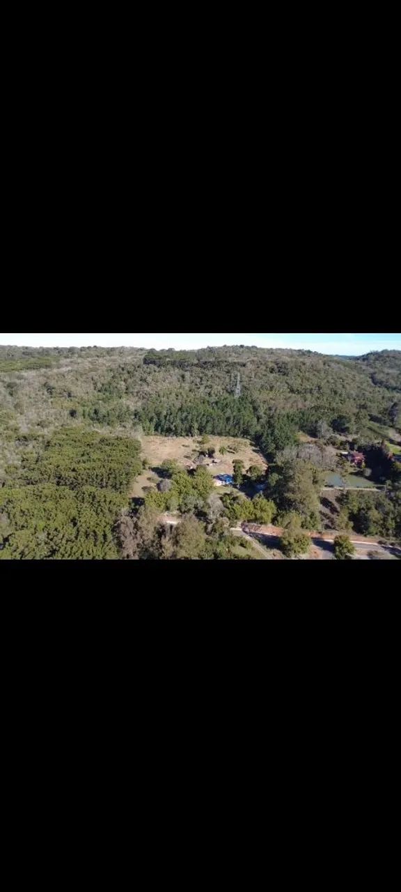 Foto - Gramado - Área Rural de Gramado