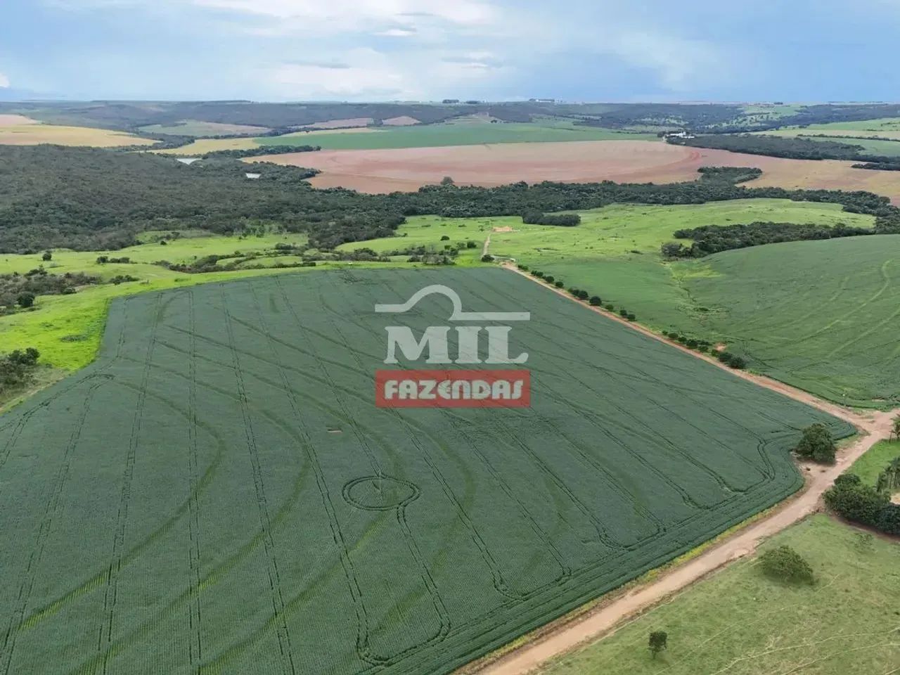 Fazenda 163,8 alqueires (793,16 hectares) Ipameri - Go