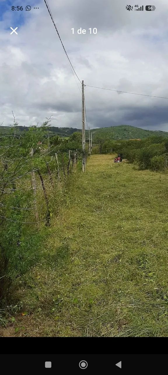 Terreno  - Foto 5