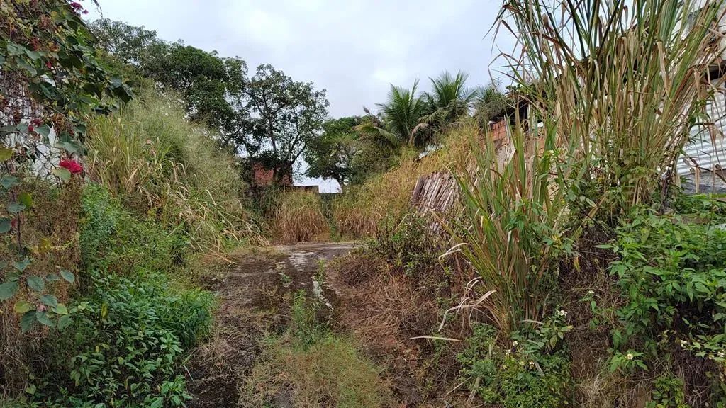 Terreno Monte Castelo com 445 m² - Foto 4