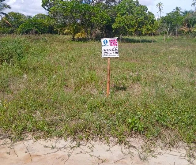 OPORTUNIDADE - LOTE MASSAGUEIRA - 10X30 - 300M²