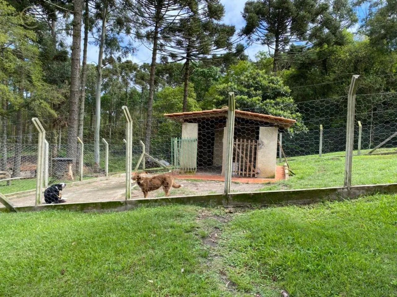 Sítio à venda em São Jerônimo da Serra, Centro, com 3 quartos, com 200 m² - Foto 5