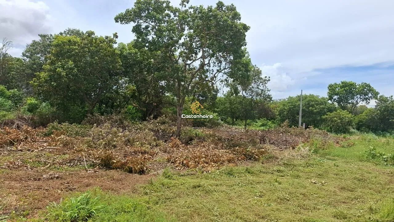 Lote - 660 m² - Plano Diretor Sul - Foto 2