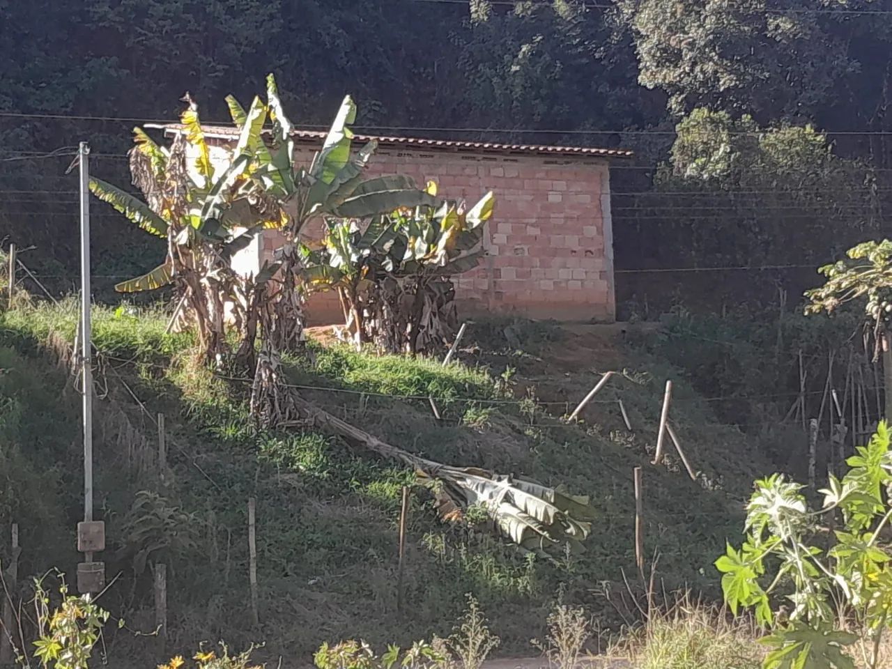 Casas.mm - Foto 4