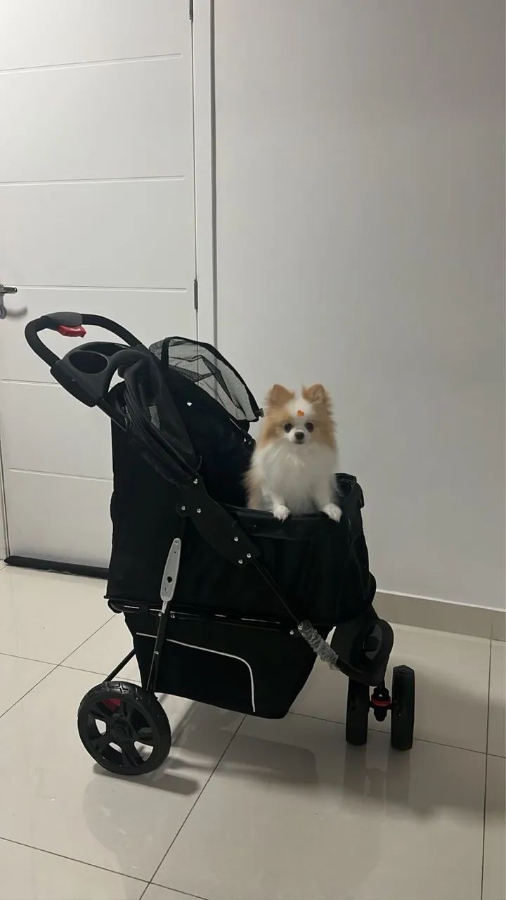 Carrinho para pet - Foto 3