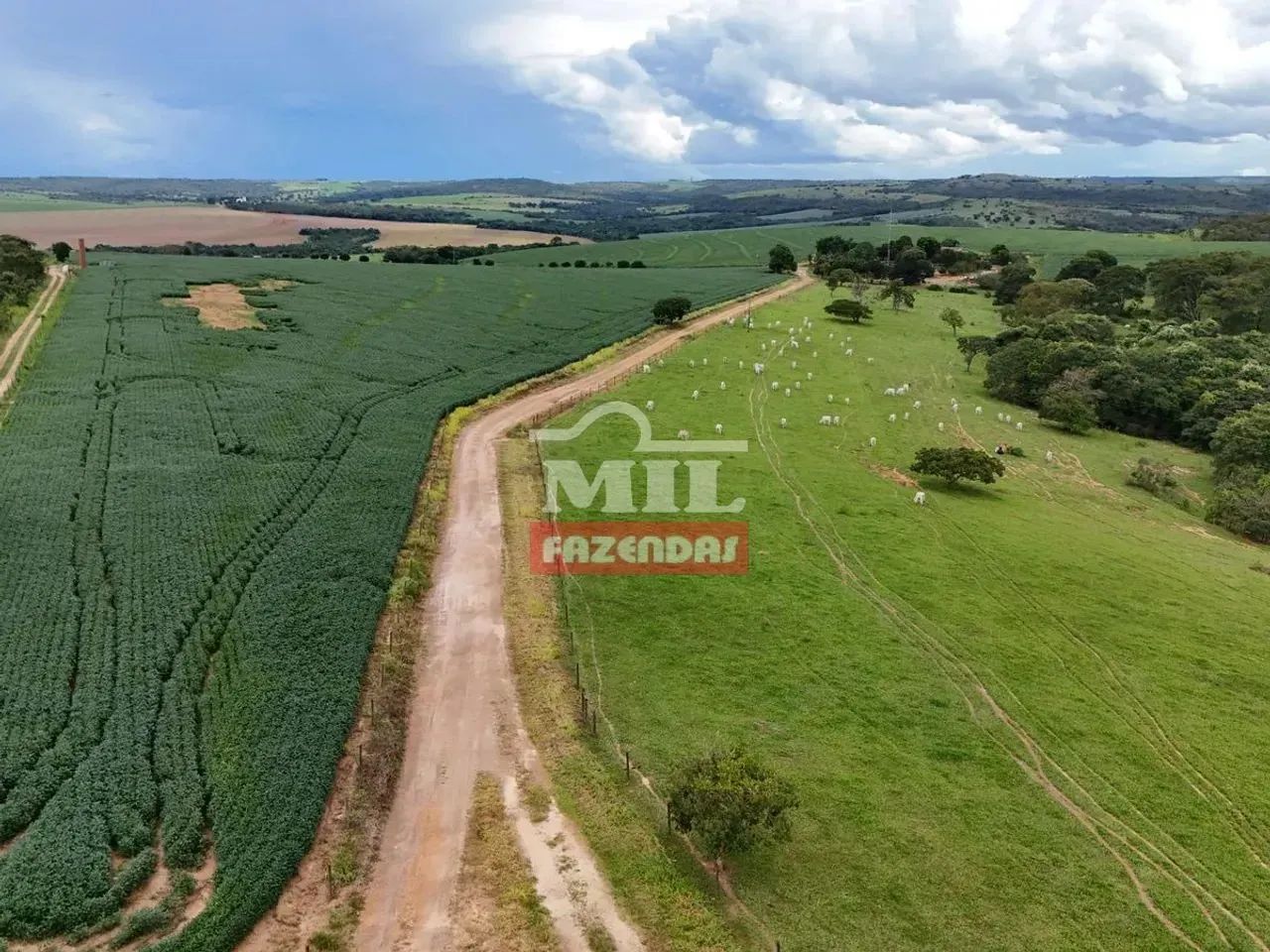 Fazenda 163,8 alqueires (793,16 hectares) Ipameri - Go - Foto 4