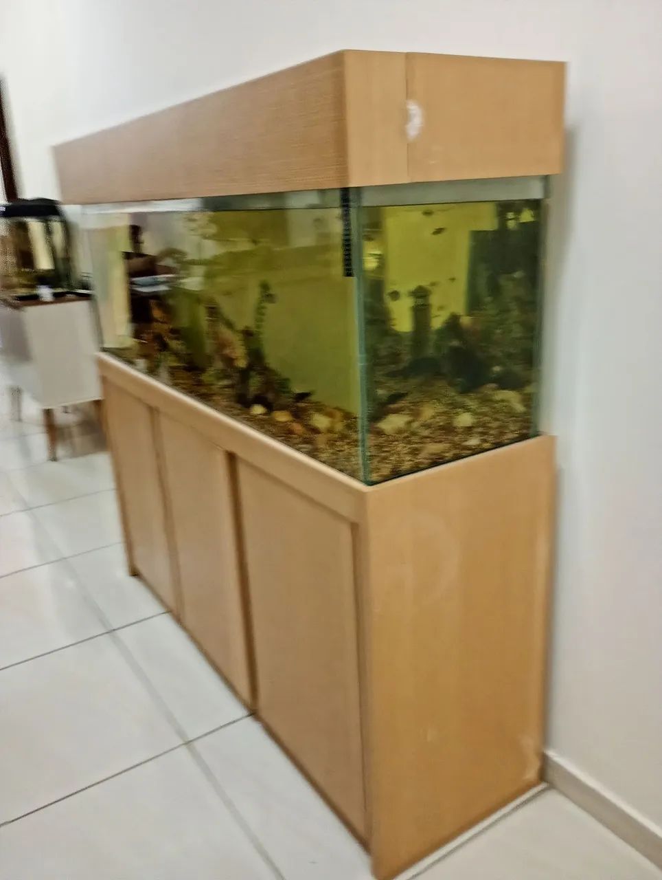 Aquário 360lt - Foto 2