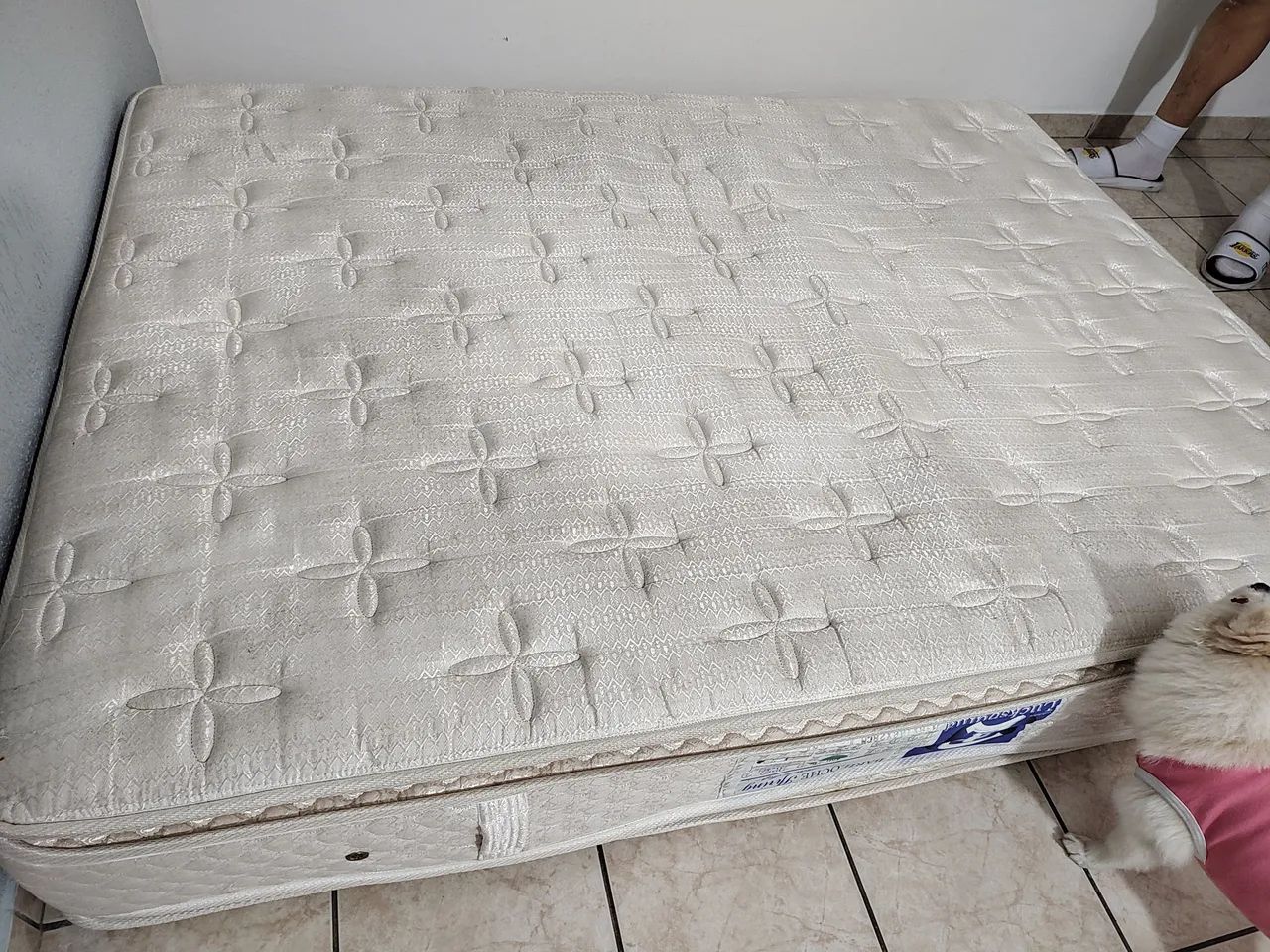 Cama Box e Colchão Casal