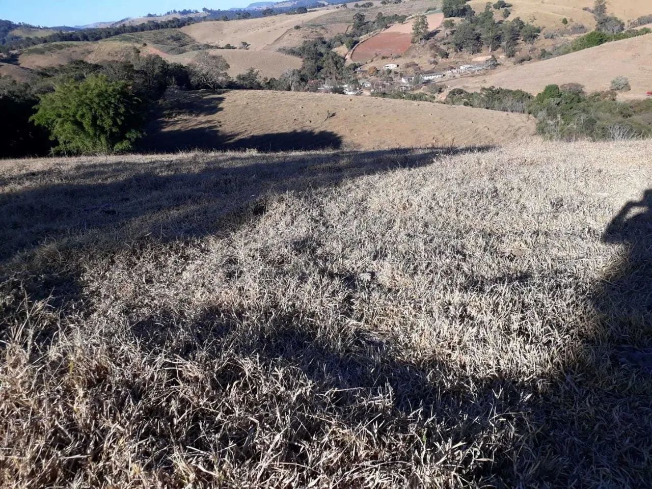 área - Pinhalzinho - Pinhalzinho - Foto 5