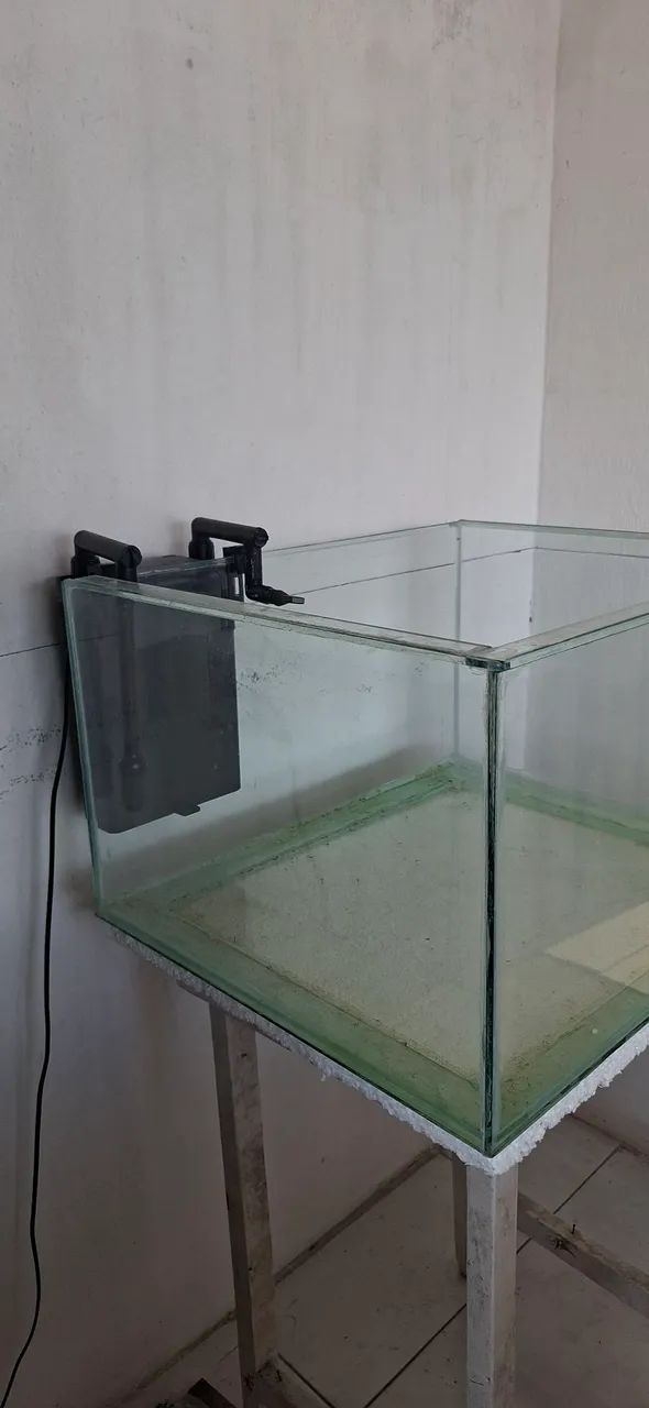 Aquário 