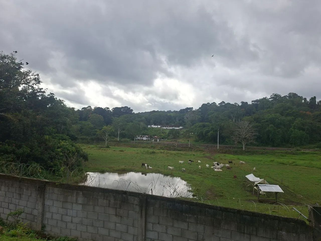FAZENDA PRODUTIVA À VENDA EM URUÇUCA - DOCUMENTAÇÃO REGULARIZADA - Foto 3