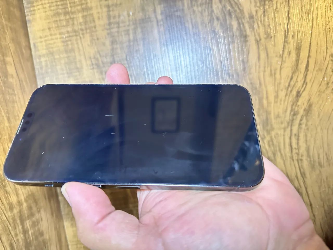 iPhone 13 Pro Max 256GB Grafite - Celulares e Smartphones
