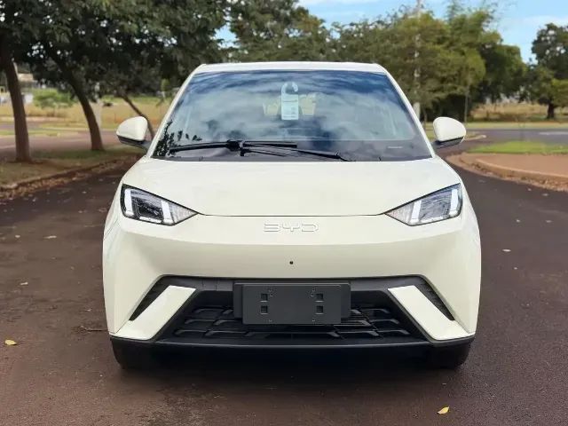 BYD Dolphin EV (Elétrico) 2024 - Foto 2