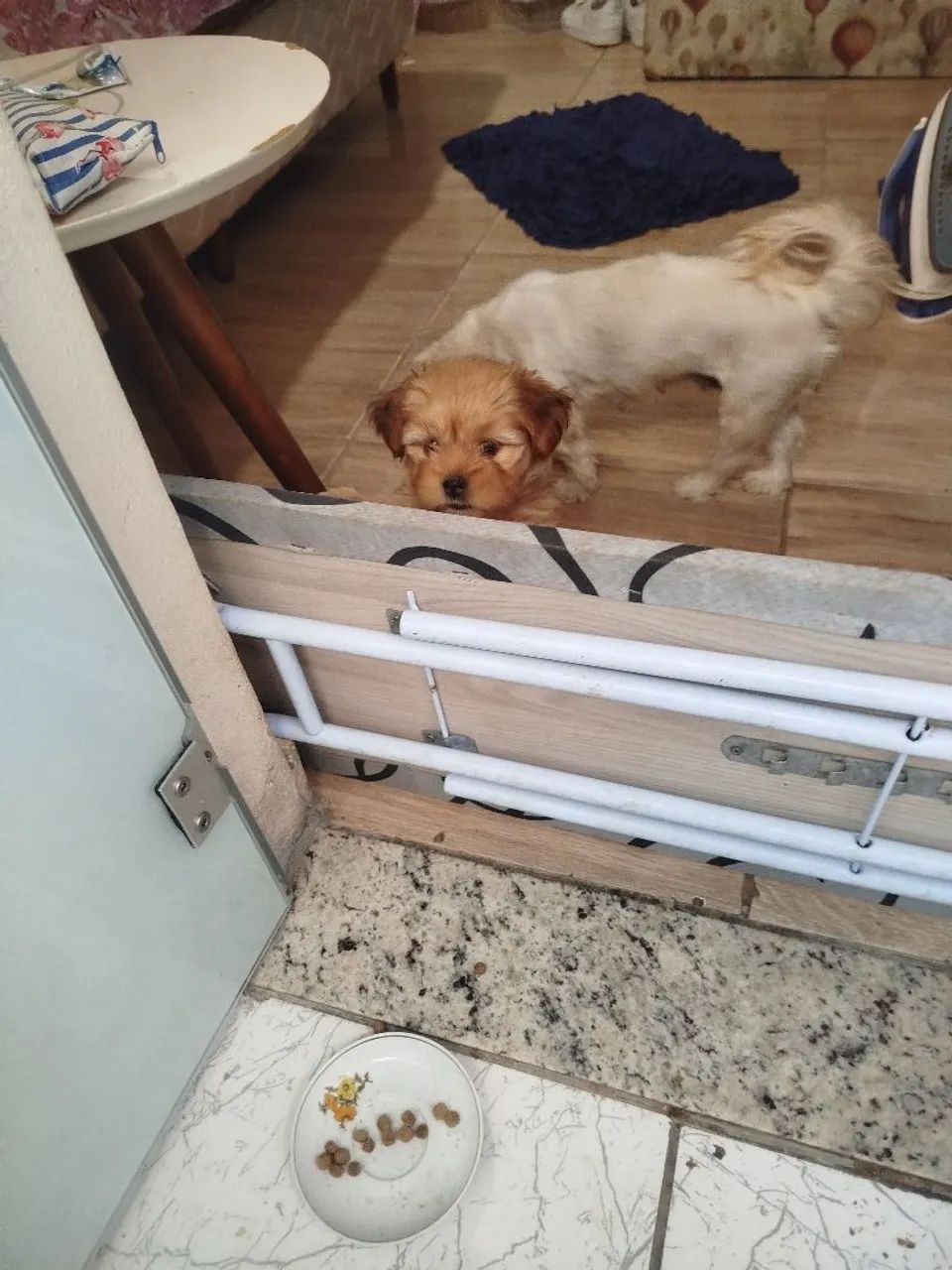 Última disponível  - Foto 3