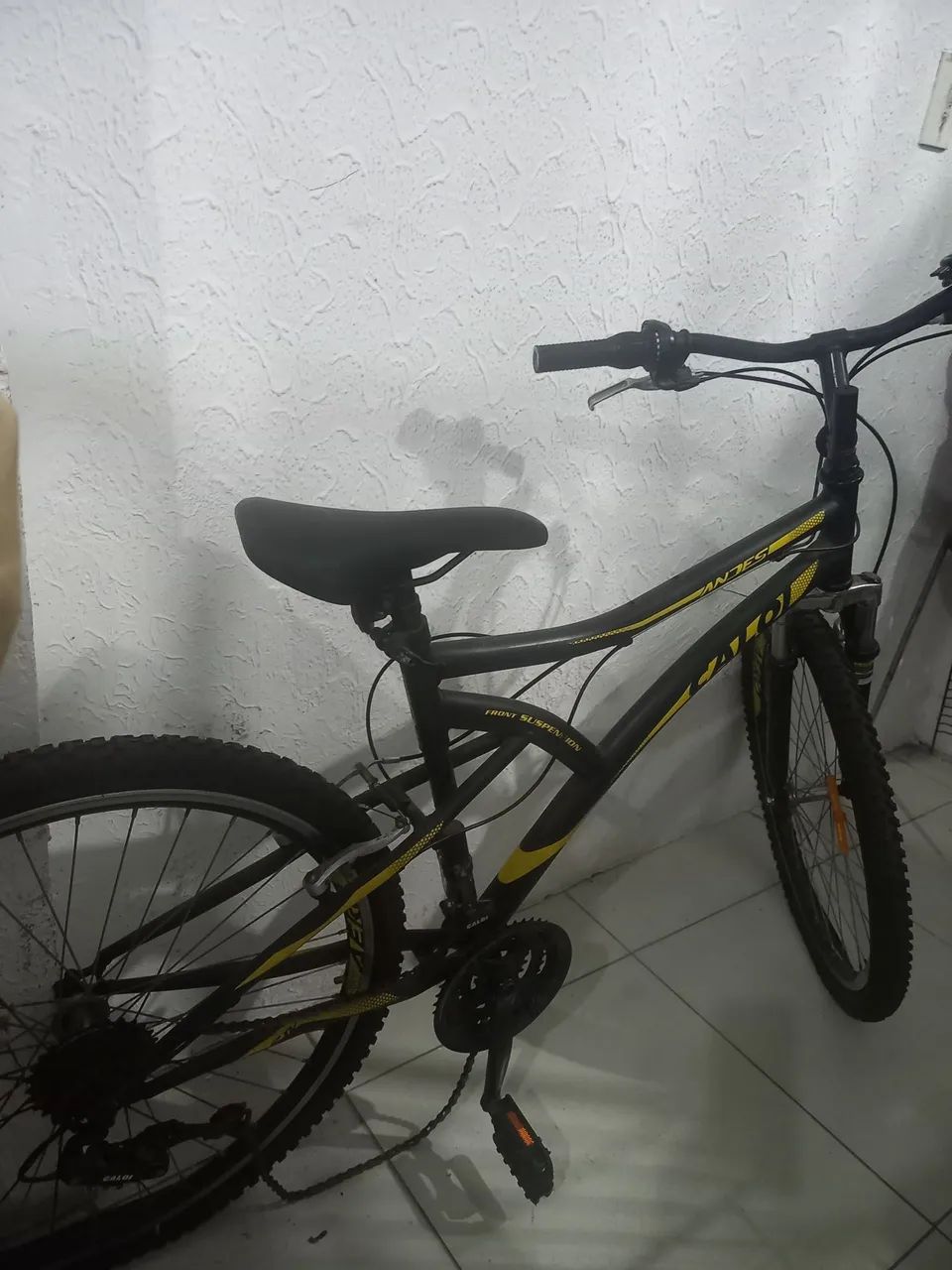 Bicicleta 