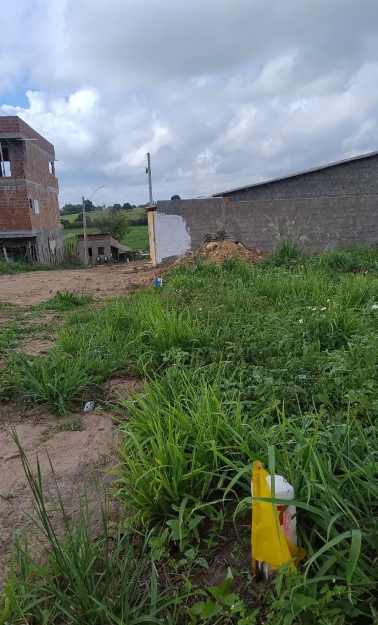 Terreno em Limoeiro-Pe - Foto 3