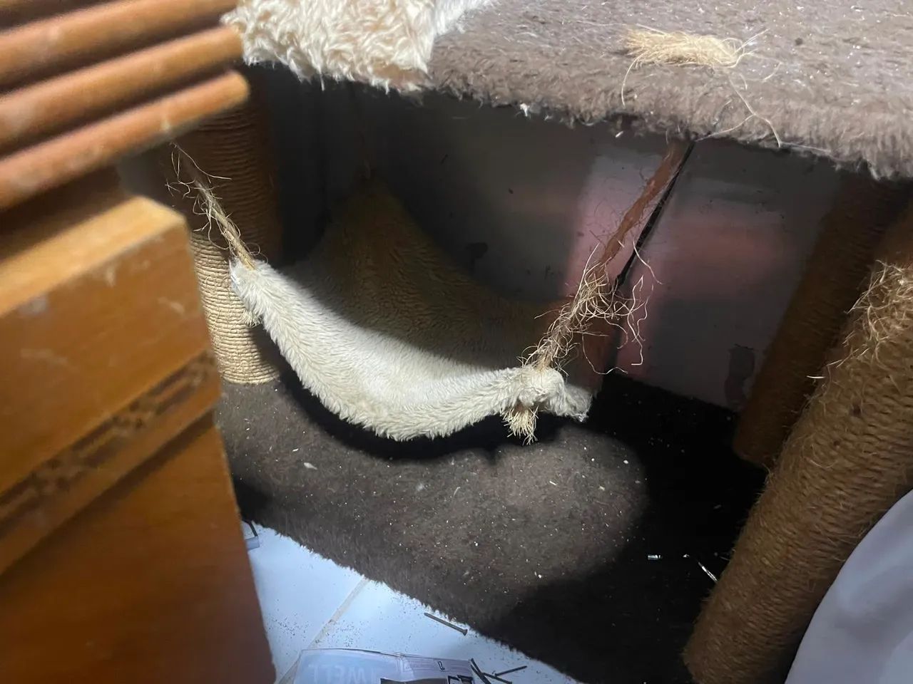 Casinha para gato  - Foto 2