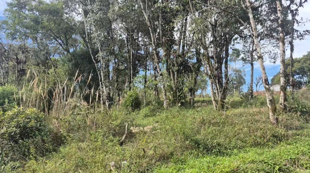Chácara para lazer ou moradia.  - Foto 3