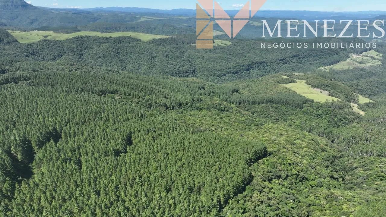 FAZENDA À VENDA NO SUL DE SANTA CATARINA