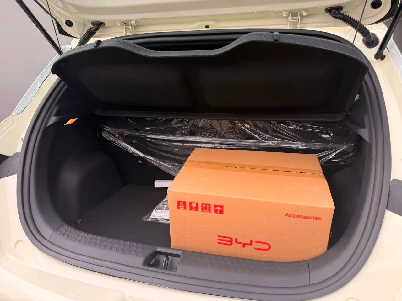 BYD Dolphin EV (Elétrico) 2027 - Foto 4
