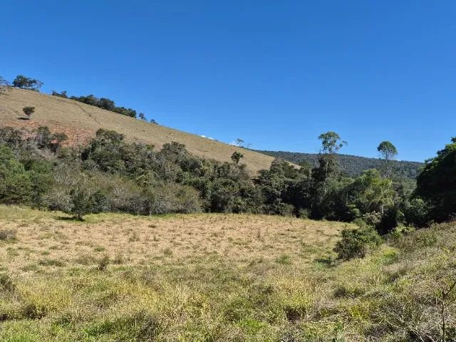 Glebas Rurais com 6.360 m2 - Foto 5