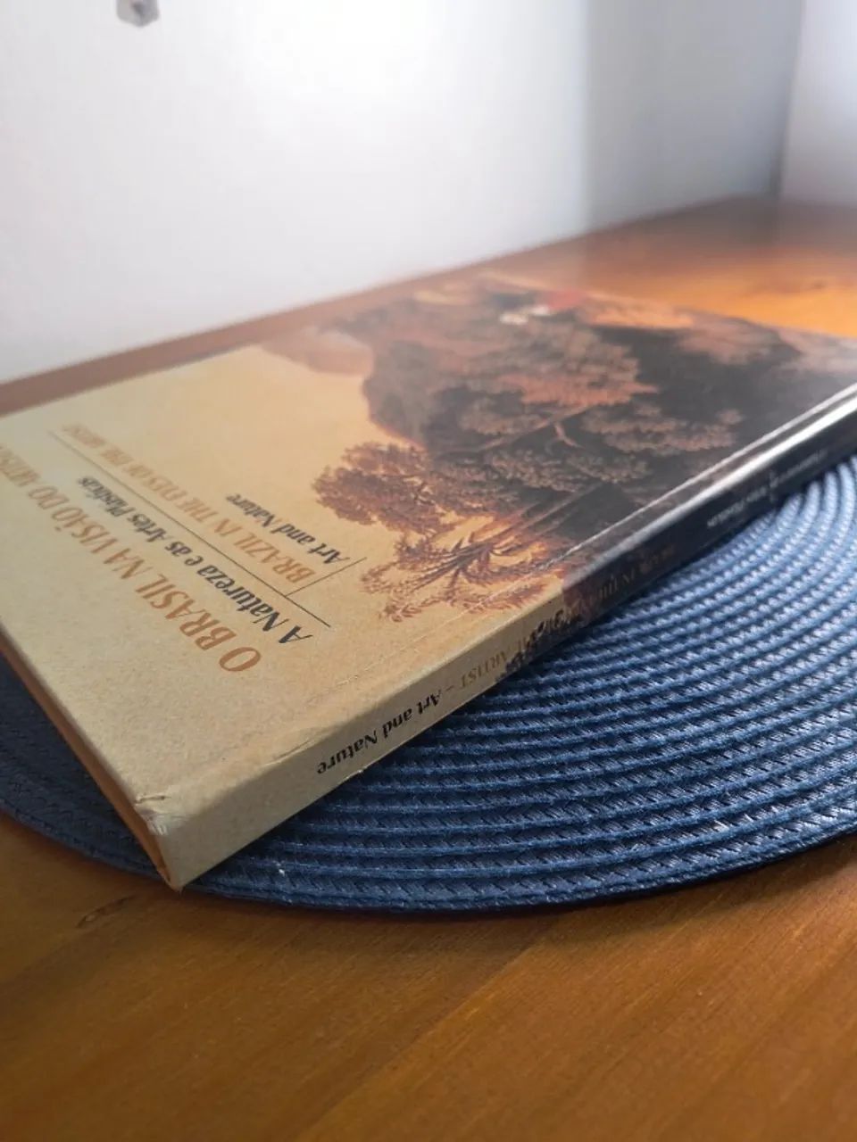 O Brasil na Visão do Artista - Frederico Morais | Artes - Foto 2