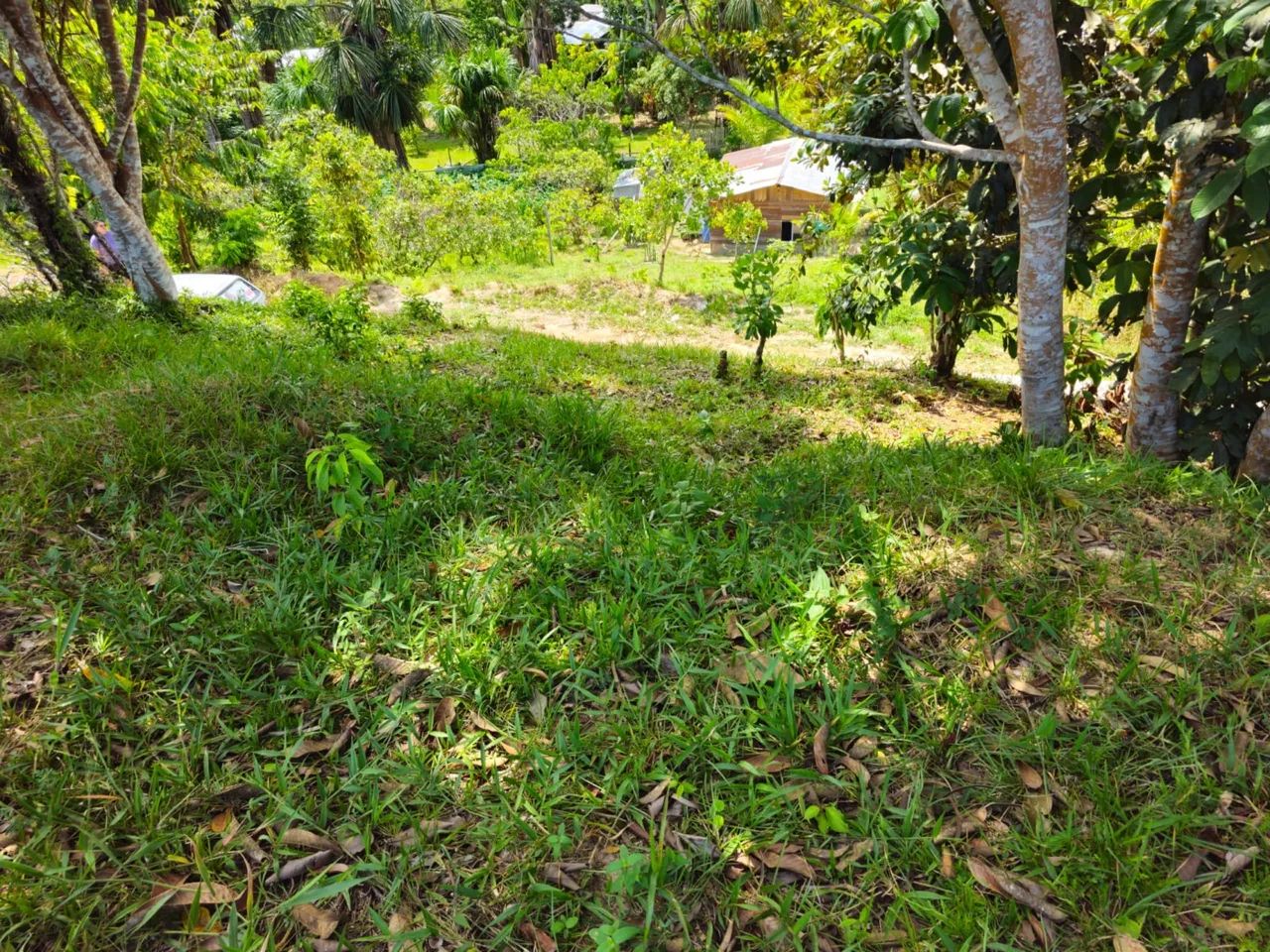 Vendo Terreno - Foto 3