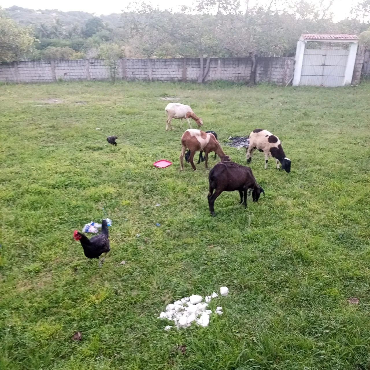 Vendo ou troco  - Foto 3