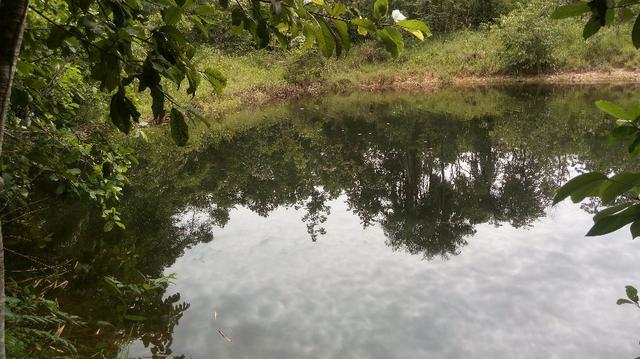Chácara Estrada Velha da Guia Beira Rio Cuiaba - Foto 10