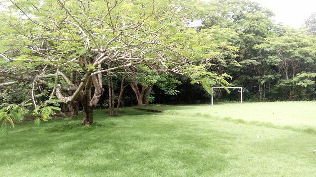 Chácara Estrada Velha da Guia Beira Rio Cuiaba - Foto 12