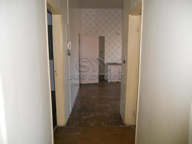 Casa para alugar com 4 dormitórios em Centro, Jaboticabal cod:L4133 - Foto 7