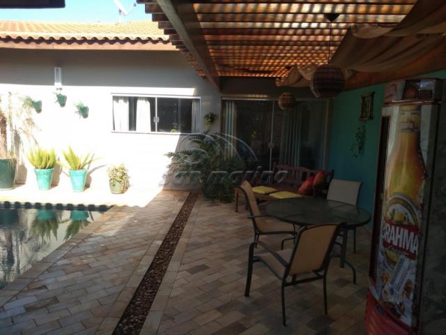 Casa à venda com 2 dormitórios em Jardim monterrey, Jaboticabal cod:V4238 - Foto 7