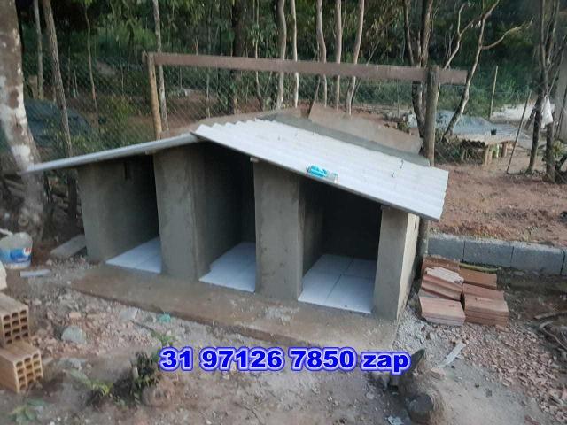 Lindo sítio com piscina,pomar,murado,casa colonial,250 mil - Foto 14