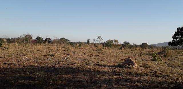 Chácara a 46 km de cuiaba - Foto 10