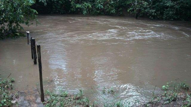 Chácara 23 Hc,Ribeirão do Gloria, perto de Agrovila das Palmeiras - Santo Antonio Leverger - Foto 4
