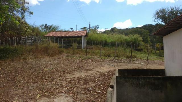 Fazenda Com 49.7 Hectares a 8 km do Centro da Cidade-Gravatá-PE - Foto 5