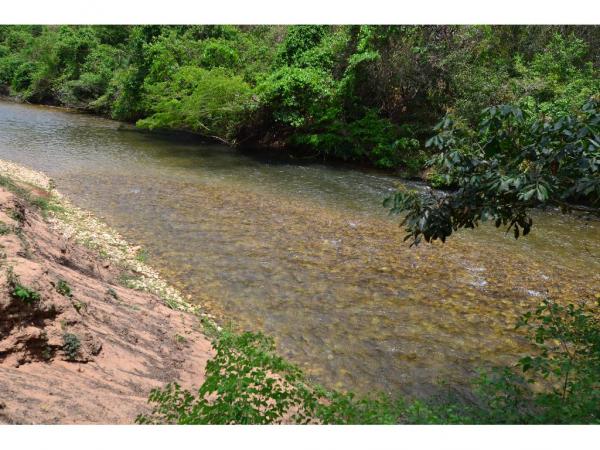 Chácara à venda em Coxipo do ouro, Cuiaba cod:17006 - Foto 2
