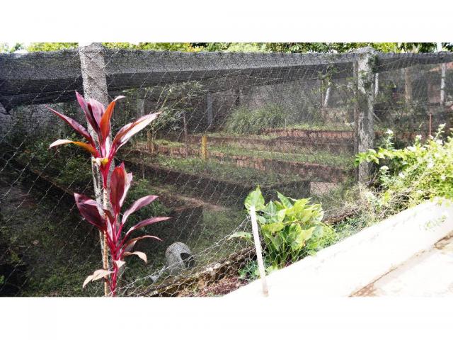 Chácara à venda em Zona rural, Nossa senhora do livramento cod:13185 - Foto 11