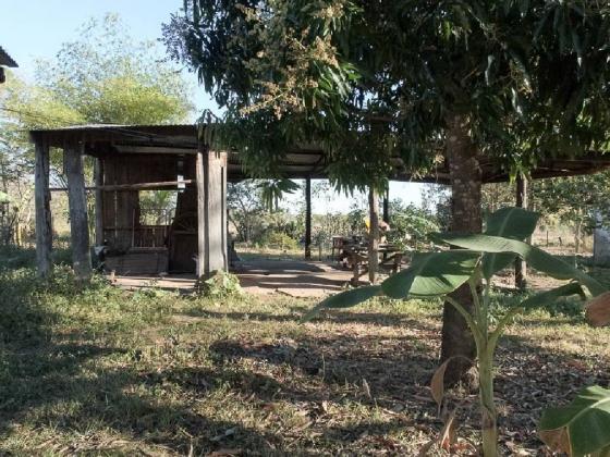 Chácara à venda em Zona rural, Santo antonio do leverger cod:21685 - Foto 7