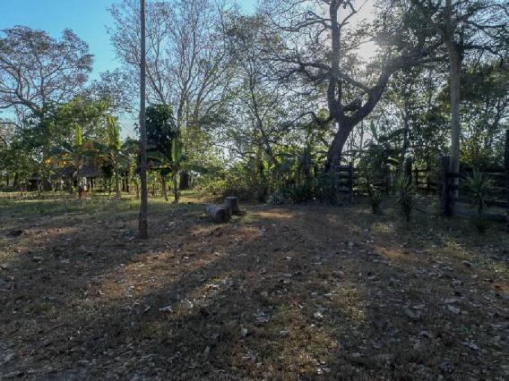 Chácara à venda em Zona rural, Santo antonio do leverger cod:21685 - Foto 12
