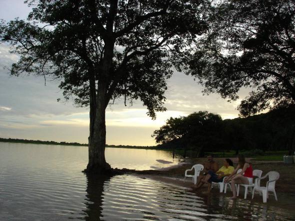 Chácara à venda em Zona rural, Barao de melgaco cod:20669 - Foto 4