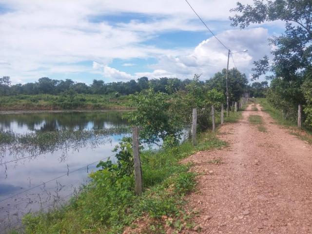 Chácara à venda em Zona rural, Cuiaba cod:20802 - Foto 8