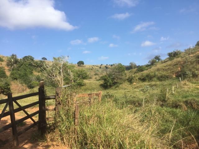 Fazenda 455.96 hectares - Governador Valadares/MG - Foto 15