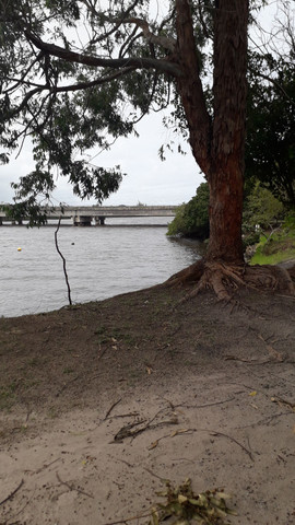 Maravilhoso LOTE no Condomínio Clube VILAS DO JAQUÍPE - Foto 20